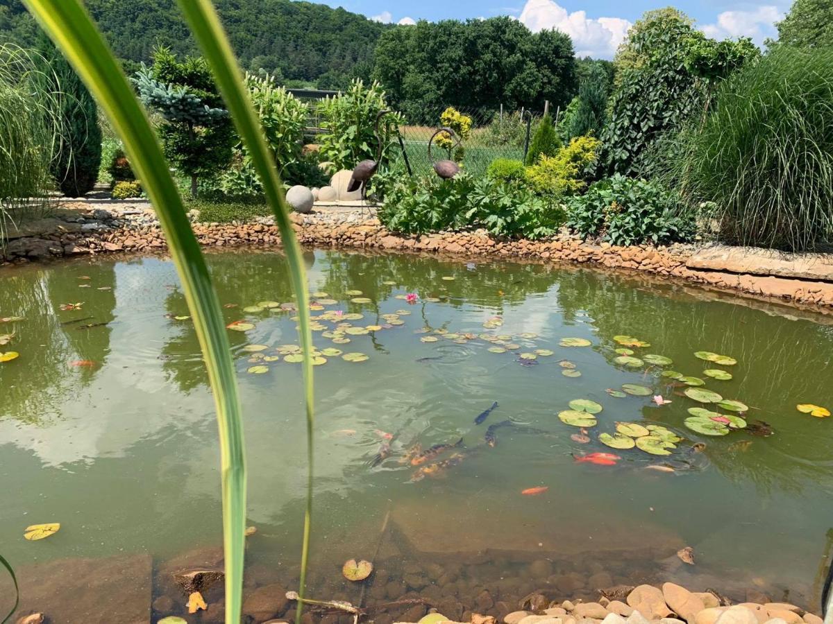 Vila Siedlisko Przyjazne Progi Rusocice Exteriér fotografie