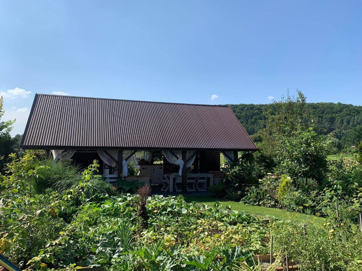 Vila Siedlisko Przyjazne Progi Rusocice Exteriér fotografie